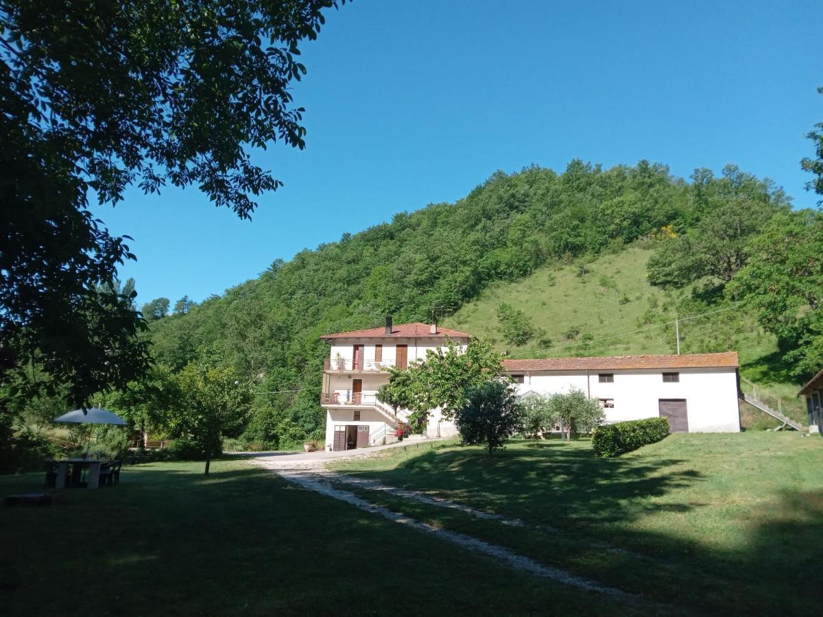 Gasthaus Casa Biron Molino Sant'Anna Exterior foto